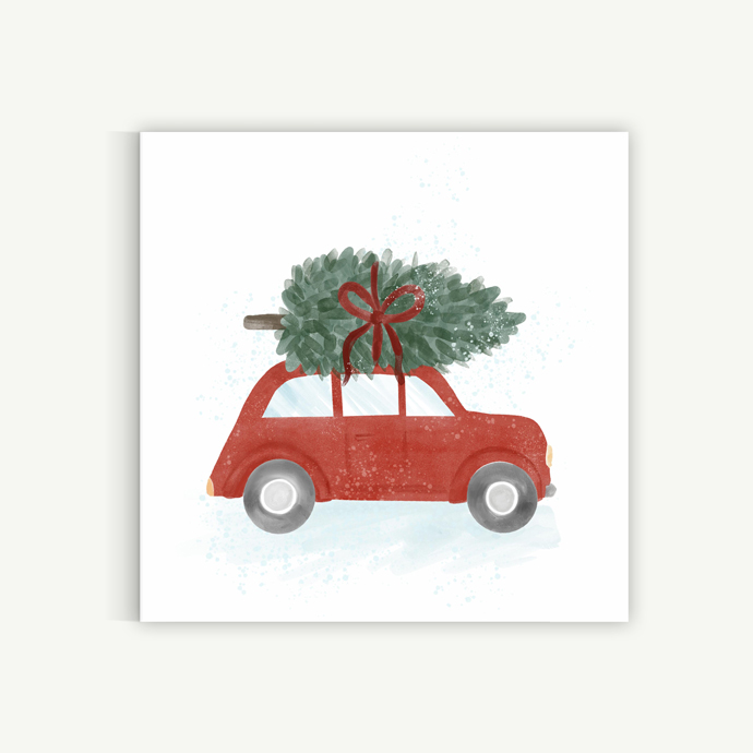 Christmas tree coming home