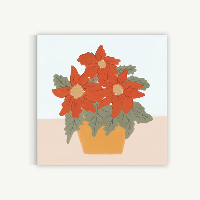 Poinsettia